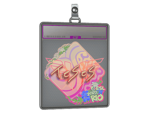 TeSeS (Holo) CS2 Sticker
