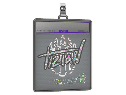 tiziaN (Glitter) CS2 Sticker