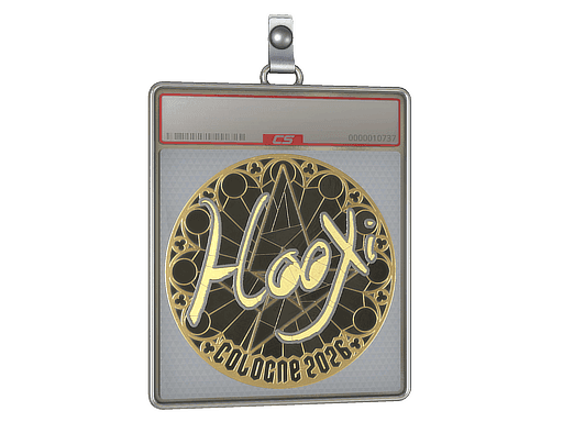 HooXi (Gold) CS2 Sticker