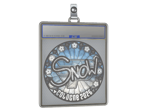 snow CS2 Sticker