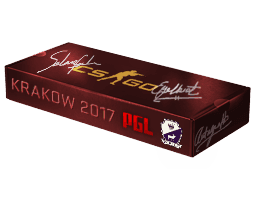 Cobblestone CS2 Souvenir Package