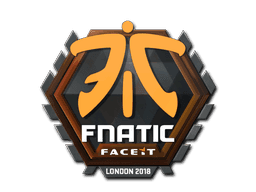 Fnatic CS2 Sticker