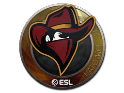 Renegades CS2 Sticker