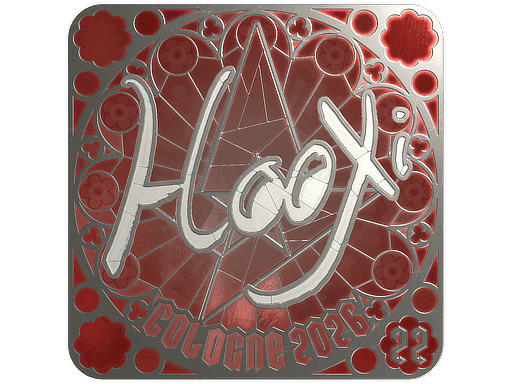 HooXi (Foil, Ranked) CS2 Sticker