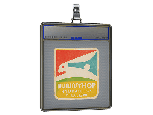 Bunnyhop Hydraulics CS2 Sticker