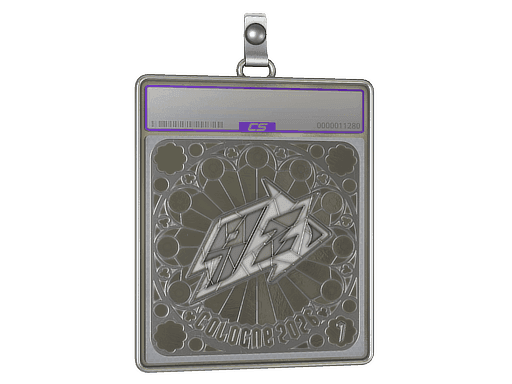 9z Team (Foil, Ranked) CS2 Sticker