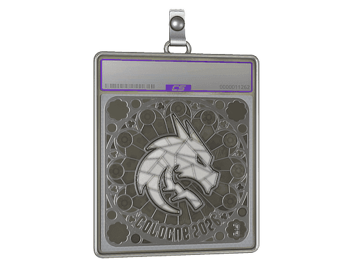 Team Spirit (Foil, Ranked) CS2 Sticker