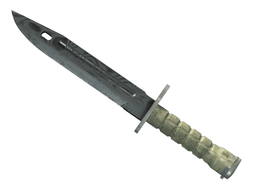 Bayonet | Damascus Steel CS2 Skin