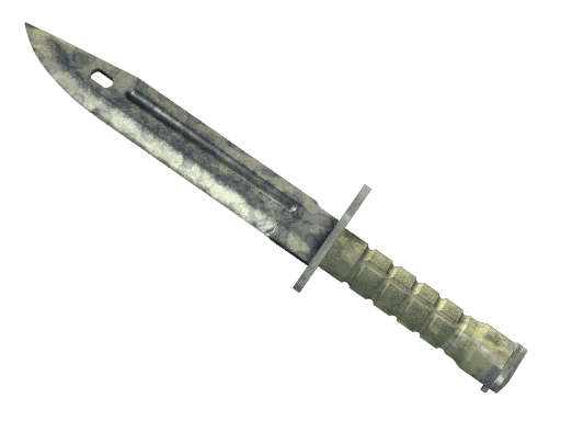 Bayonet | Stained CS2 Skin