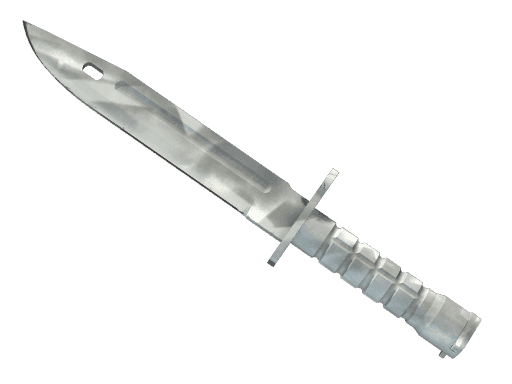 Bayonet | Urban Masked CS2 Skin