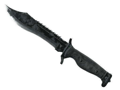 Night | Bowie Knife CS2 Skin