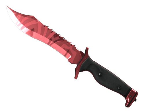 Slaughter | Bowie Knife CS2 Skin