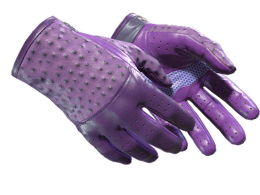 Driver Gloves Plum Quill (Factory New)