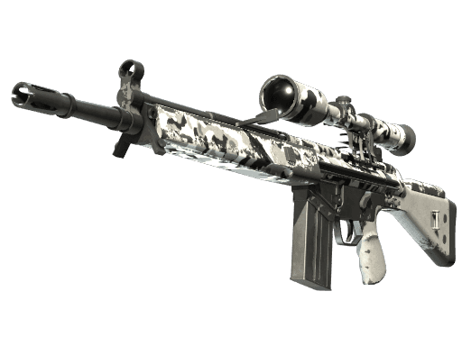 G3SG1 Polar Camo (Well-Worn)