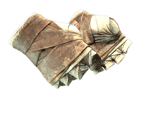 Leather | Hand Wraps CS2 Skin