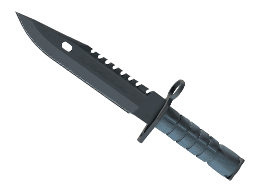 M9 Bayonet Night (Factory New)
