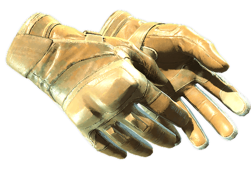 Transport | Moto Gloves CS2 Skin