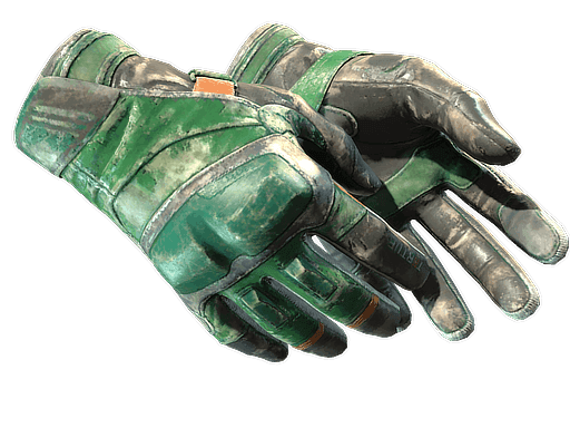 Turtle | Moto Gloves CS2 Skin