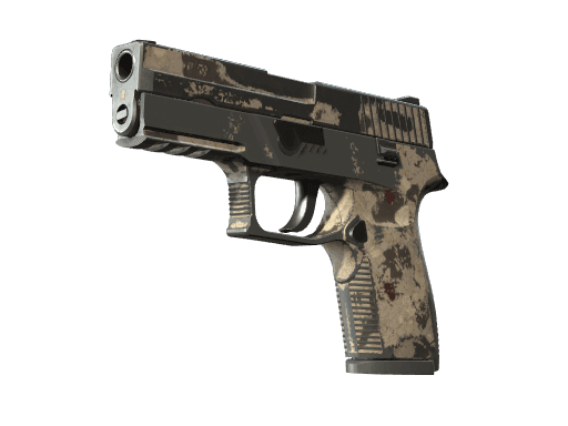 P250 | Black & Tan CS2 Skin