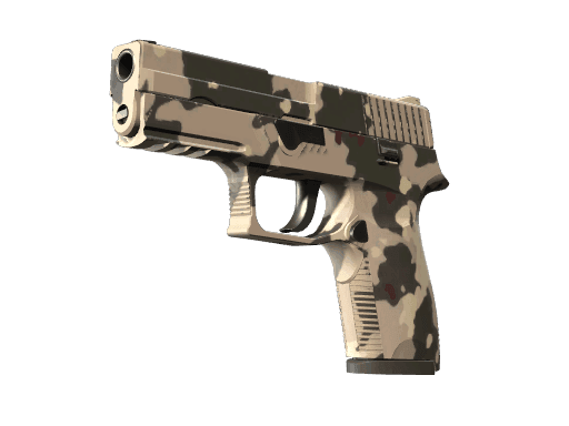 P250 Black & Tan (Minimal Wear)