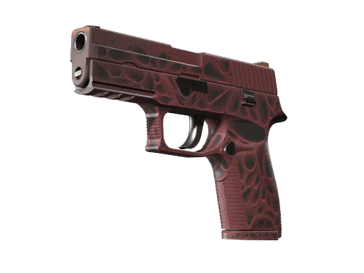 P250 | Contaminant CS2 Skin