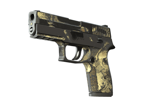 P250 | Contamination CS2 Skin