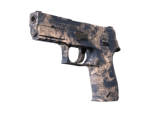 P250 | Drought CS2 Skin