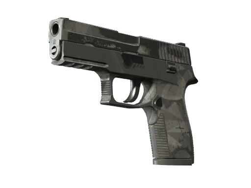 P250 Facets (Battle Scarred)