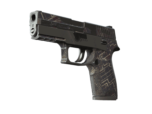 P250 | Facility Draft CS2 Skin