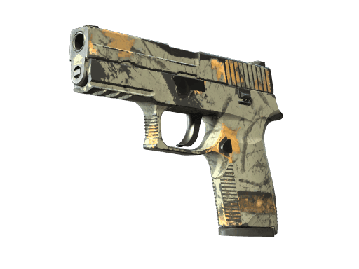 P250 Modern Hunter (Field-Tested)