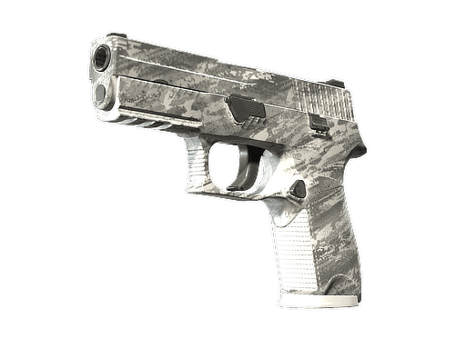 P250 Sleet (Minimal Wear)