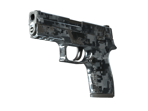 P250 Steel Disruption (Field-Tested)