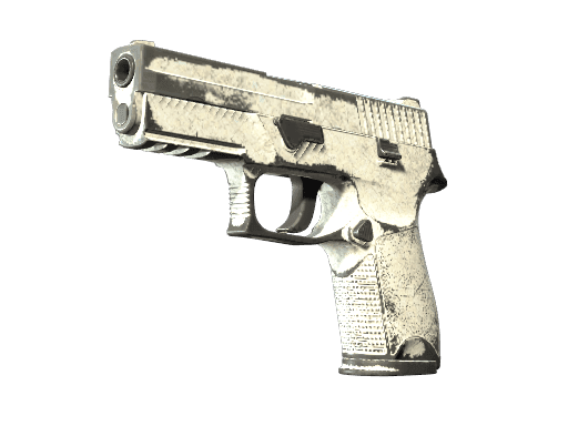 P250 Whiteout (Battle Scarred)