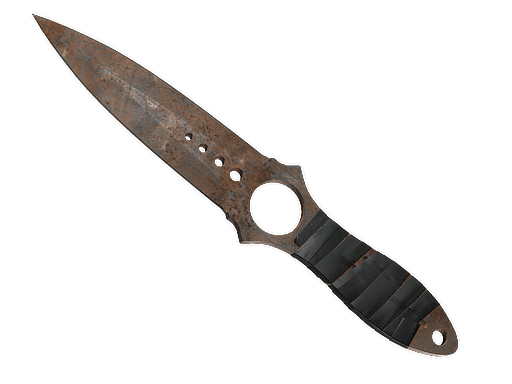 Skeleton Knife | Rust Coat CS2 Skin