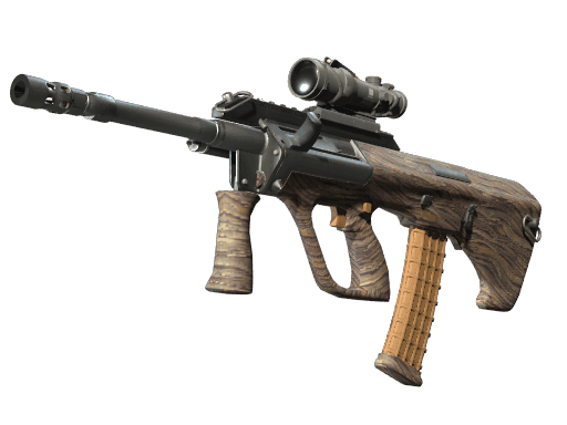 AUG | Spalted Wood CS2 Skin