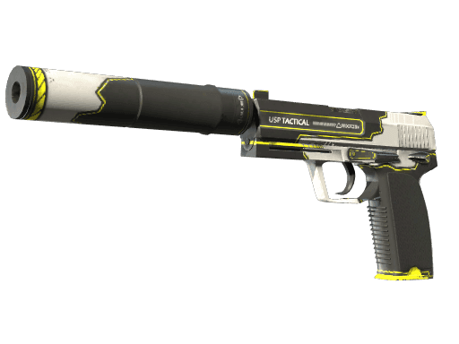 USP-S | Torque CS2 Skin