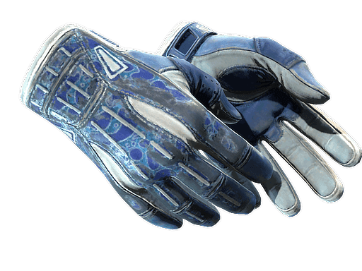 Sport Gloves | Amphibious CS2 Skin