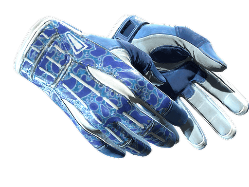 Sport Gloves | Amphibious CS2 Skin