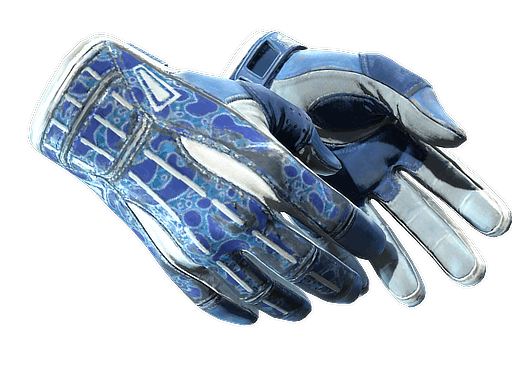 Sport Gloves Amphibious (Field-Tested)