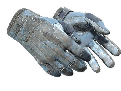Sport Gloves Frosty (Battle Scarred)