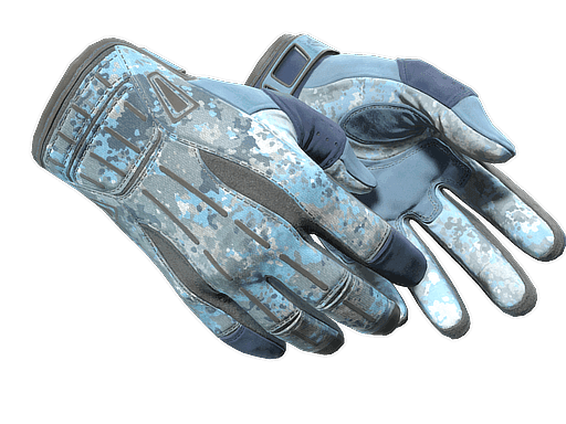 Sport Gloves | Frosty CS2 Skin