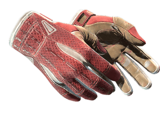 Sport Gloves | Slingshot CS2 Skin