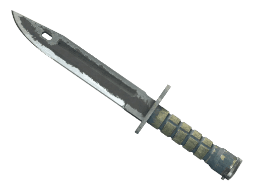 Bayonet Night (StatTrak Battle Scarred)