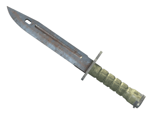 Bayonet Rust Coat (StatTrak Well-Worn)