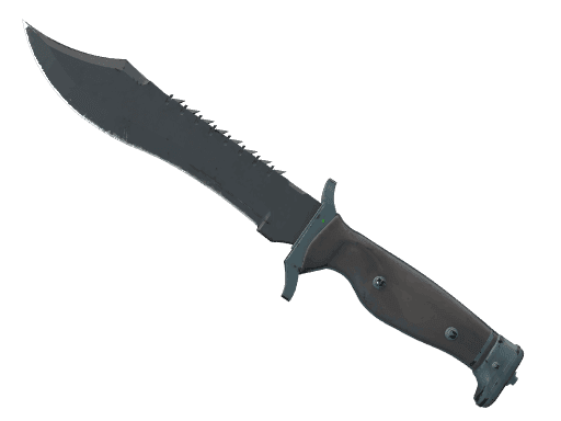Bowie Knife Night (StatTrak Field-Tested)