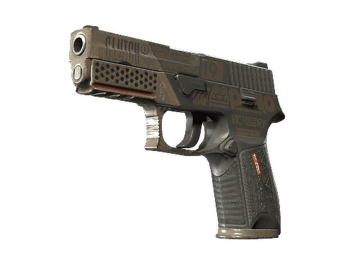 P250 Bullfrog (StatTrak Field-Tested)