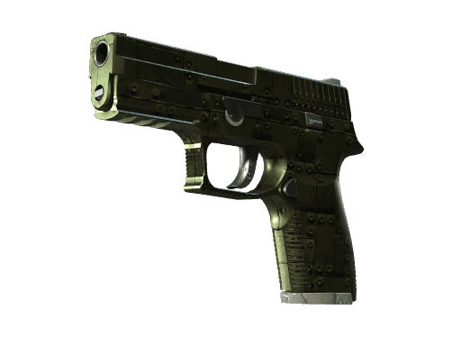 P250 Iron Clad (StatTrak Well-Worn)