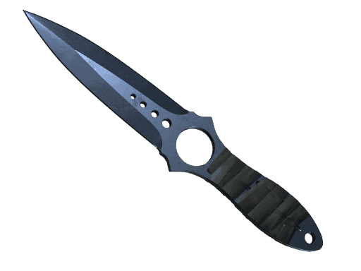 Skeleton Knife Blue Steel (StatTrak Battle Scarred)
