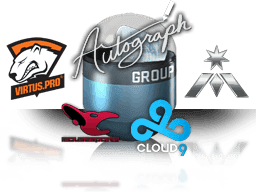 Group D (Foil) CS2 Autograph Capsule