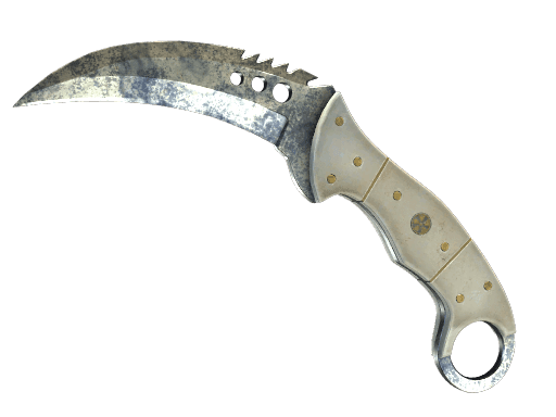 Talon Knife | Stained CS2 Skin